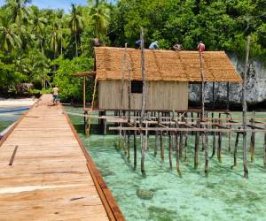 Kalma Raja Ampat