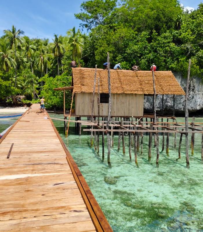 Kalma Raja Ampat