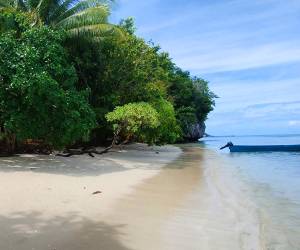 Kalma Raja Ampat
