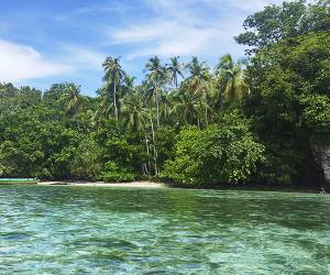 Kalma Raja Ampat